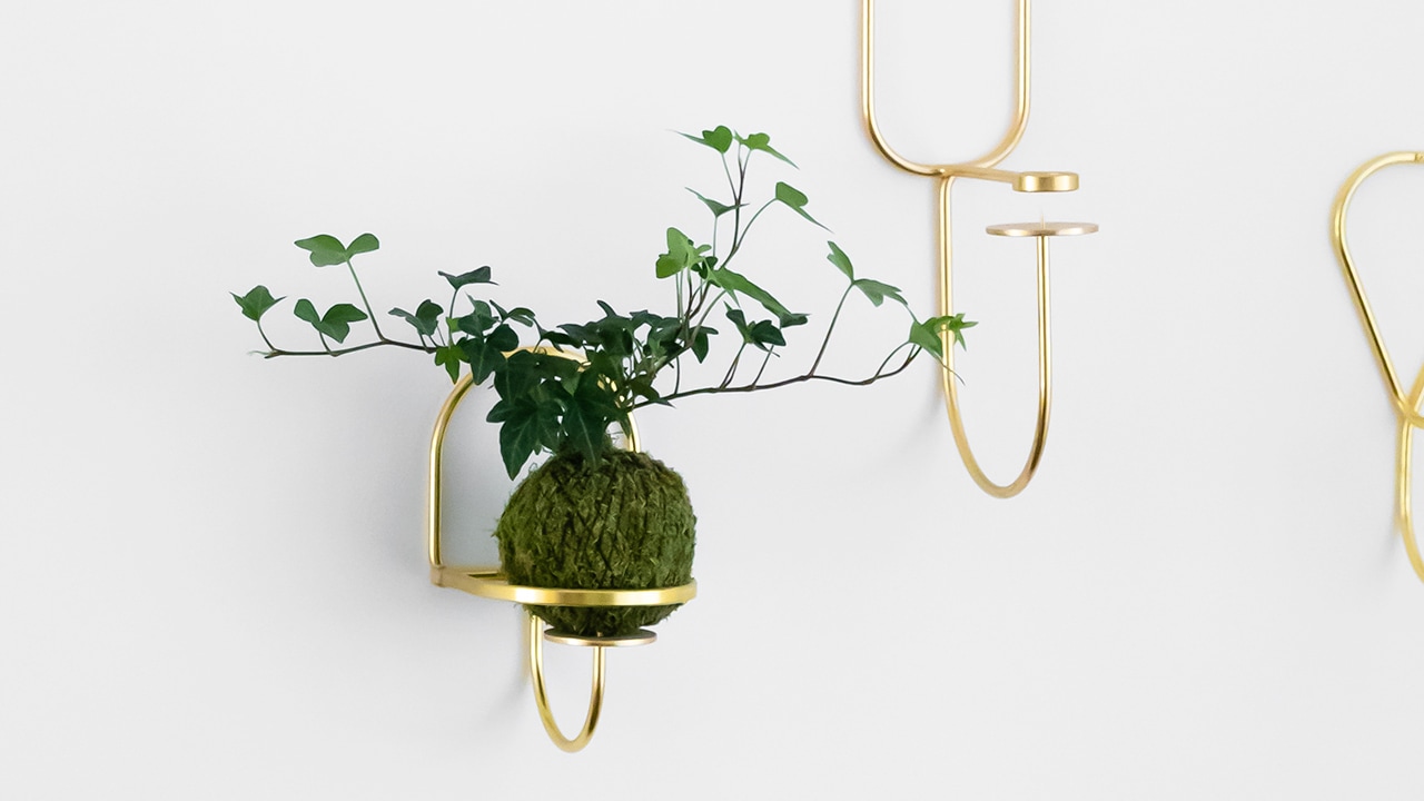 Green moss wrapped potted plant sitting in a gold hanger