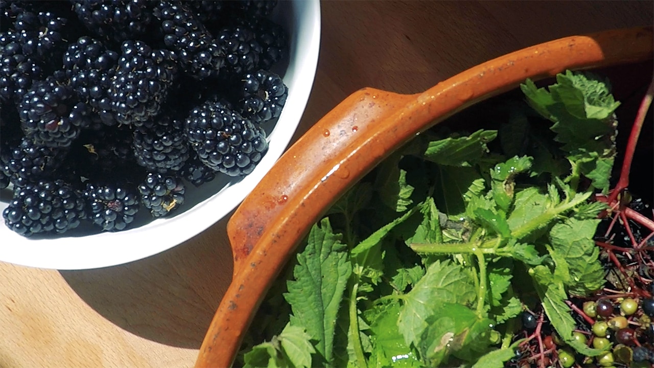 Some nettles and blackberries in separate bowls