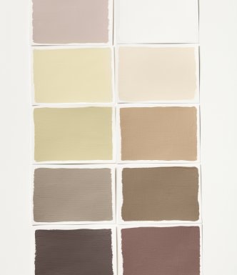 Palette of neutral brown paint colours