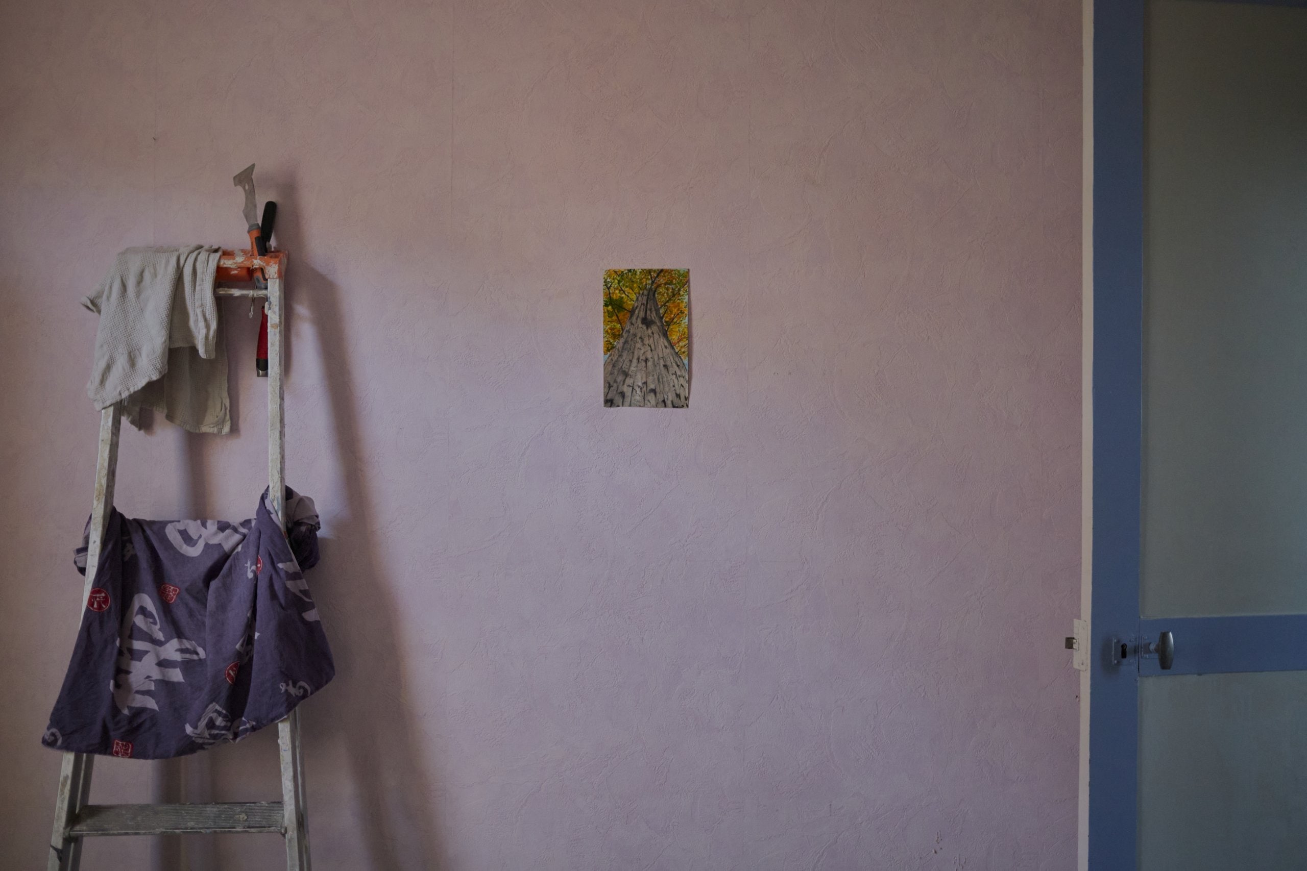 A picture of a tree on a pink wall, a ladder is standing next to it.