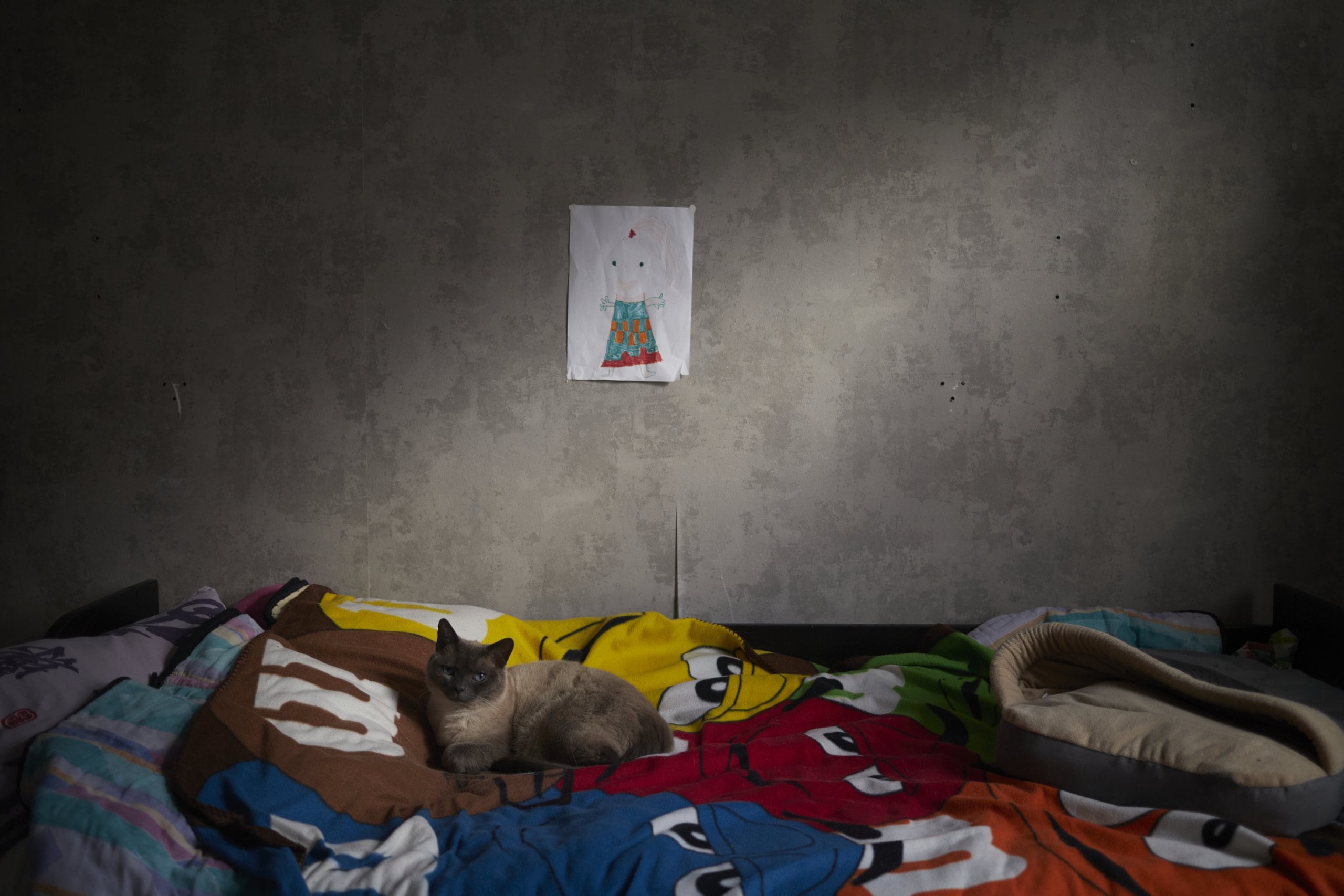 A grey cat laying on a m&m patterned duvet in a bedroom with grey walls, a childrens drawing on the wall above it.