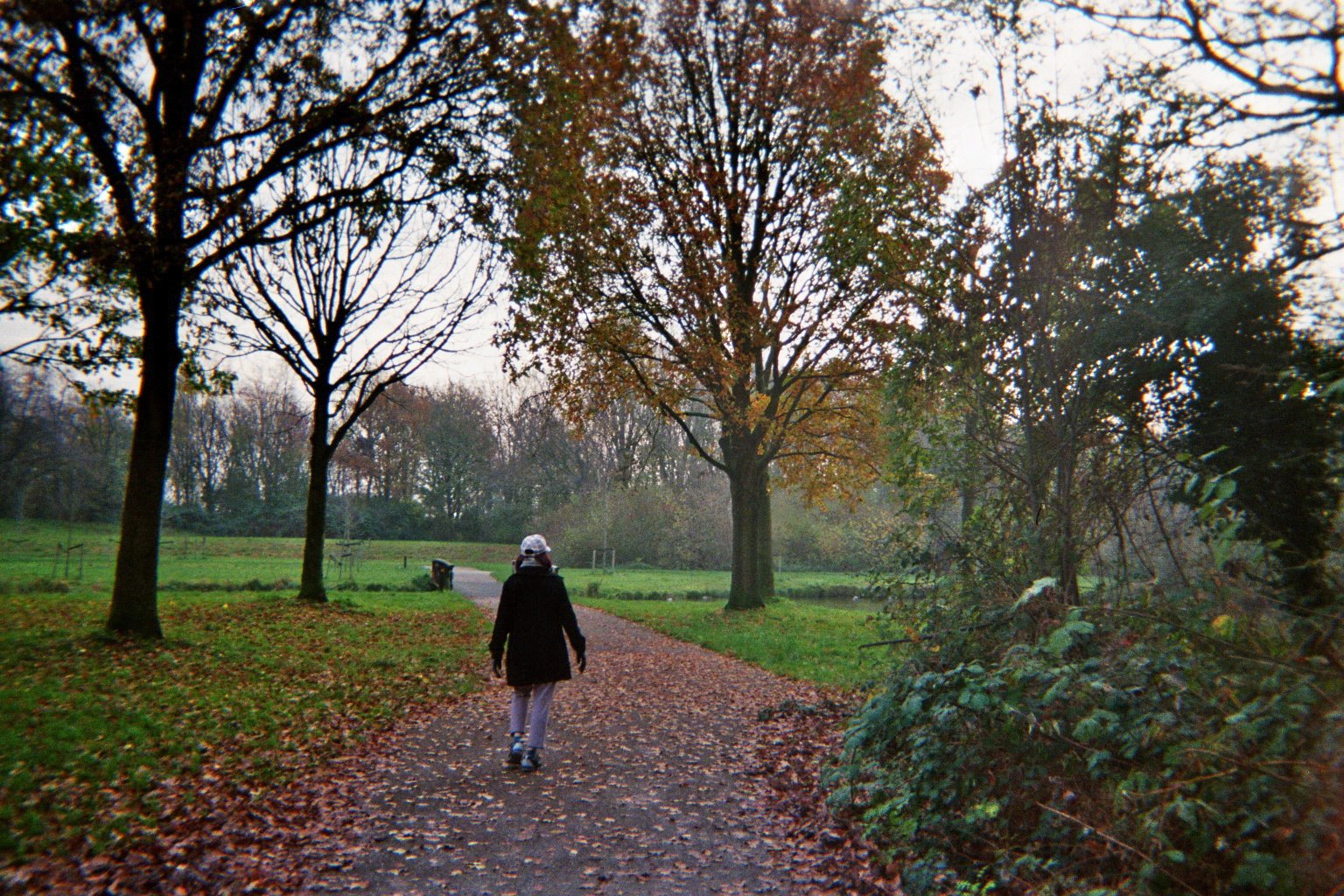 A woman walking in a park, it's autumn and brown leaves covers the walk path.