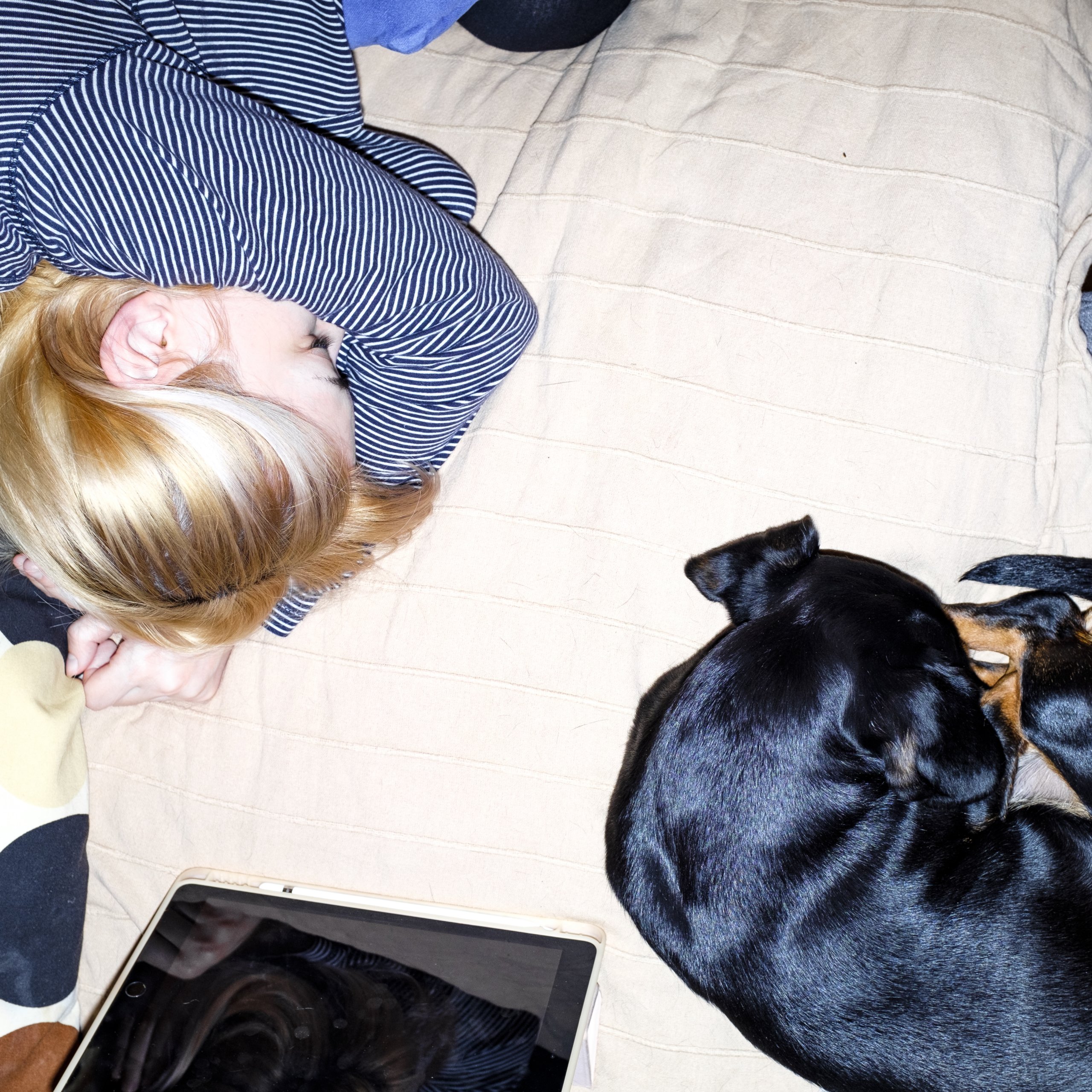 Toma's girlfriend and their dachshund laying on the bed.