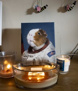 A decorative shrine to Guinea pigs, with a portrait of one and candles surrounding