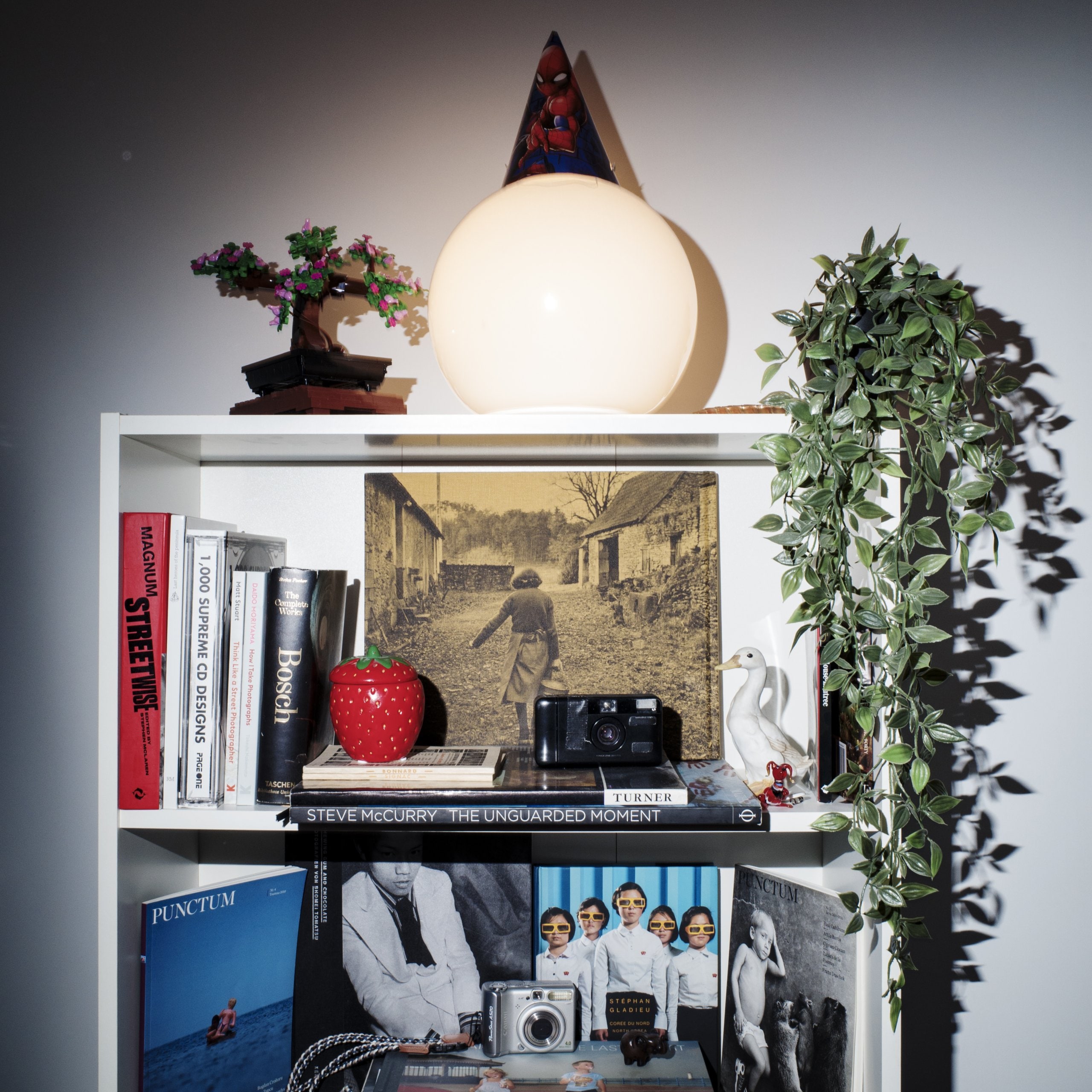 A bookshelf with books, magazines and cameras.