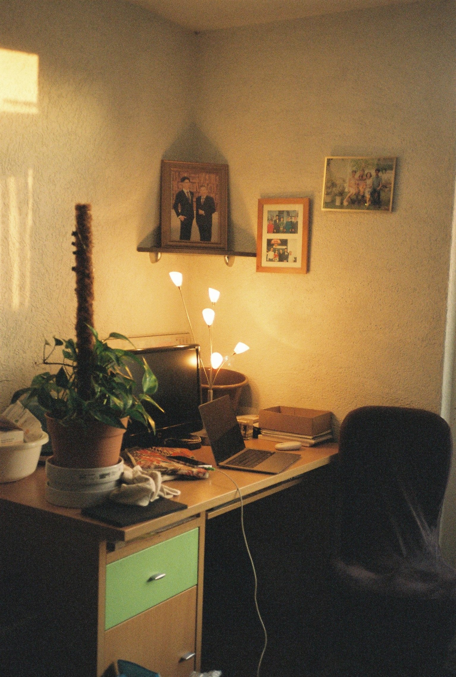 A desk with computer screens and a plant, three family photos on the wall above it.